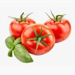 Fresh Red Tomatoes 500g